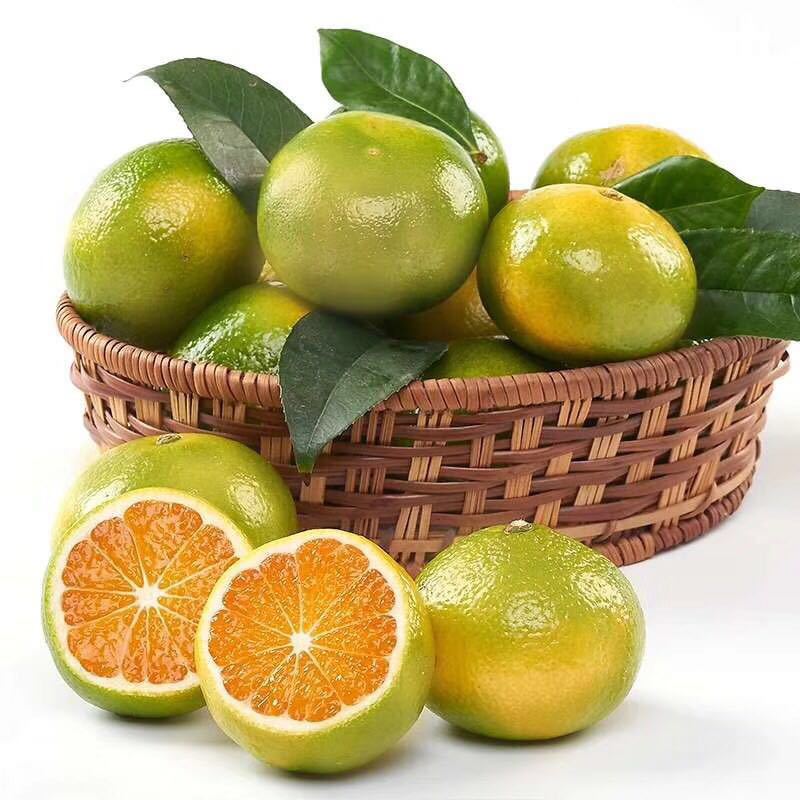 青皮橘子