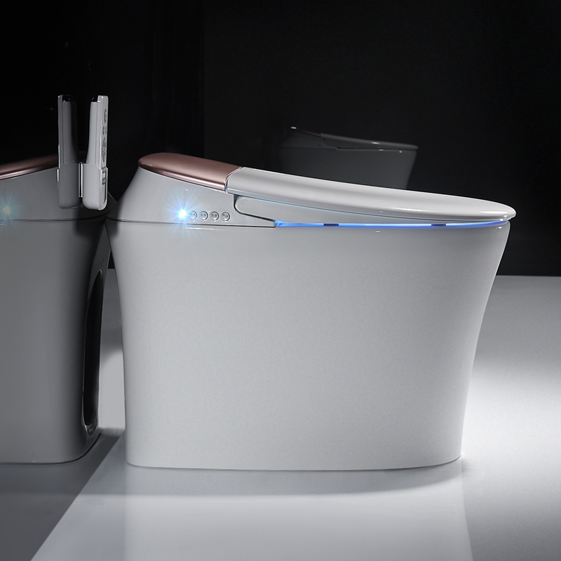 德国进口德森蒂威一体式全自动坐便器冲水烘干座便器电动智能马桶