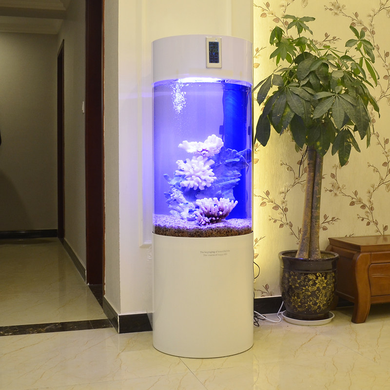 六款生态小鱼缸,轻松享受海底世界