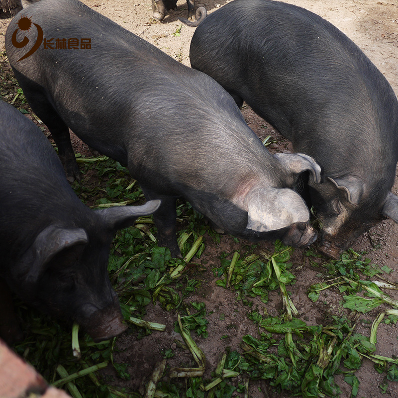 生态农家散养土猪肉黑土猪肉一年深山粮食蔬菜喂养整只生猪肉