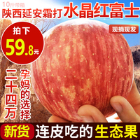 明令禁止桔子66电影网限制级在线结仇桔子橘子电影网土豆最时尚 2015武焚九天