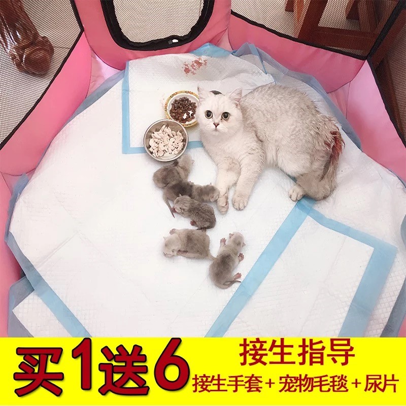 一折猫产房_狗狗生产窝 狗产房 保暖猫窝封闭式有门猫咪产房保暖母猫