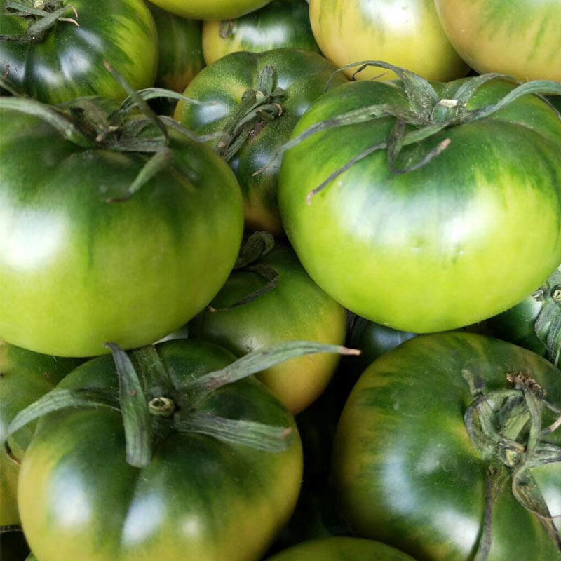 丹东生鲜特产油柿子铁皮绿腚草莓洋柿子番茄5斤装西红柿水果蔬菜