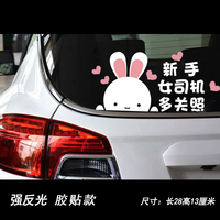 小红帽与大灰狼的故事 小红帽与大灰狼的故事