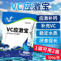 另类在线综合视频区 另类综合视频区 另类在线观看 第一页