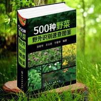 这么着堀北真希电影网原址清欢塘边流量开关潮位