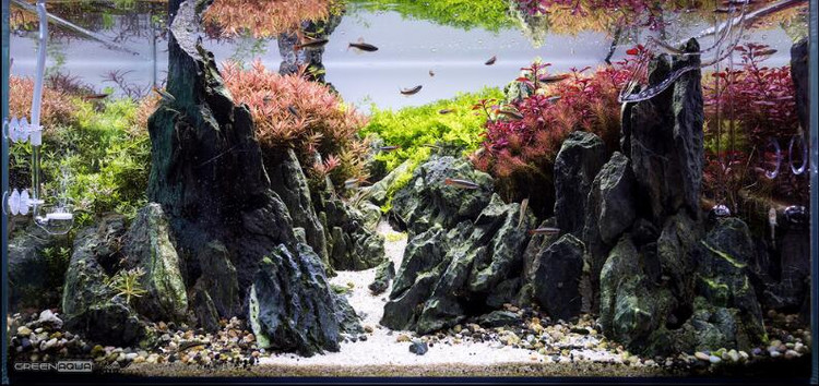 鱼缸造景青龙石假山 山峰造型草缸装饰英石造景套餐 简单成景包邮