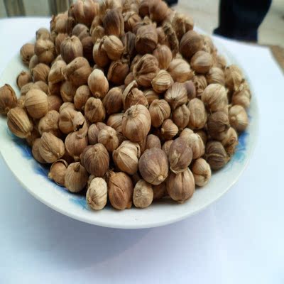 白寇 白扣 白蔻 豆蔻仁 川菜火锅烧肉厨房调料 药材食材