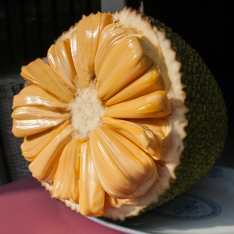 海南菠萝蜜红心新鲜包邮