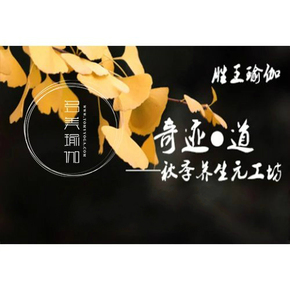 奇迹私服变速器