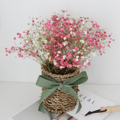 满天星干花花束淘宝优惠券