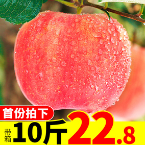 【青头鬼粤语价格】2019最新青头鬼粤语批发