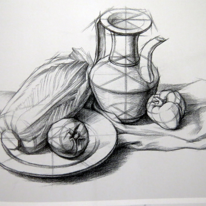 结构静物 杨爽基础知识 范画练习作品临摹基础入门教程素描美术书安徽