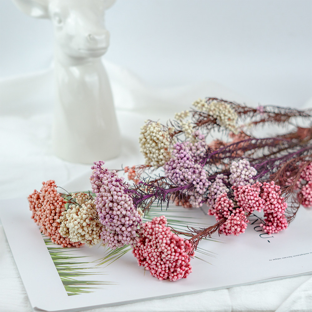 手工材料 米粒珠子_小米花北欧风现代简约插花干花客厅米粒永生花拍摄