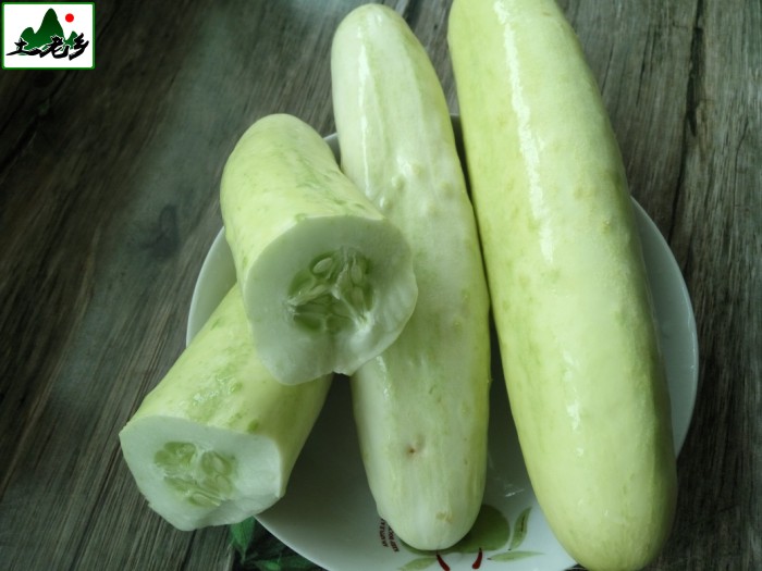 一折白黄瓜
