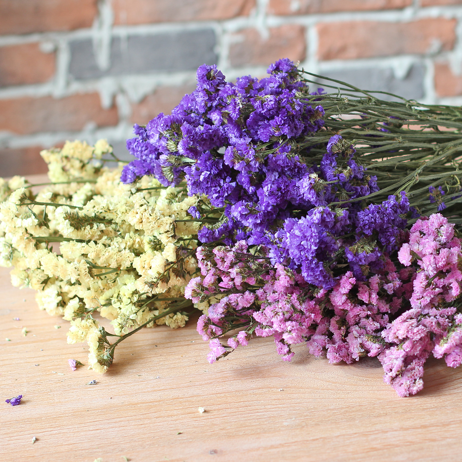 永生花批发_云南天然勿忘我干花花束真花批发论斤卖满天星装饰家居