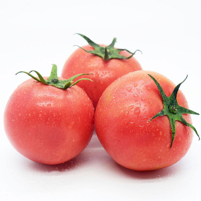 5斤装 云南现摘自然露天生新鲜农家西红柿