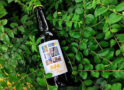 国产精酿 悠航 猴拳ipa啤酒330ml*6瓶_7折现价120元