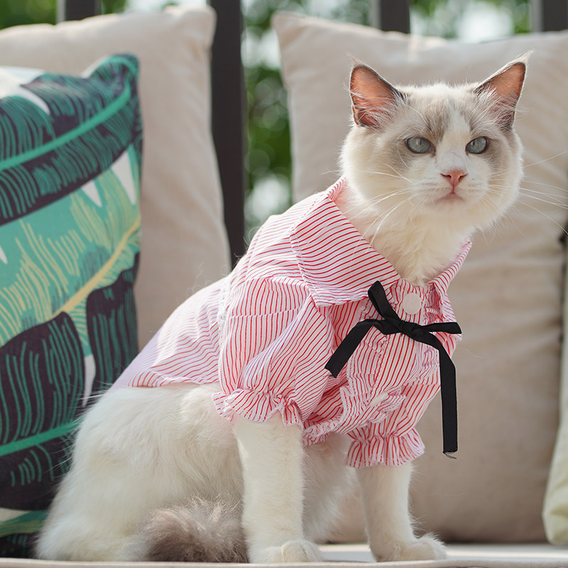 猫咪衣服夏季薄款公主裙子英短小猫蓝猫加菲猫衬衫春秋款衣服优惠券