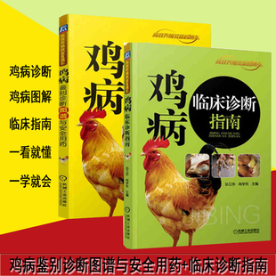 养鸡技术大全鸡病诊治鸡场兽医科学饲养教程 鸡病看图识别与防治书籍