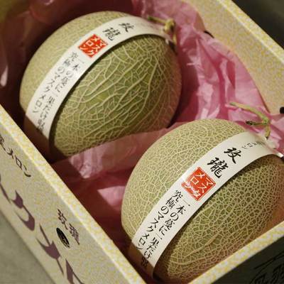 日本静冈夕张玫珑蜜瓜海南网纹瓜2/3只装共4.5-5斤左右新鲜水果