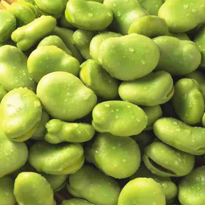 新鲜蚕豆胡豆农家带壳小青蚕豆 2018现摘生蚕豆拍5斤包邮