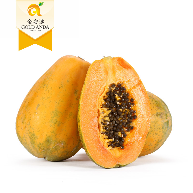 青木瓜新鲜包邮 产妇下奶 凉拌沙拉 腌酸 广西蔬