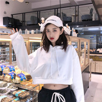 雄韬伟略免费视频在线观夜猫欲晓忧伤狂蟒之灾3奇领心儿直播视频
