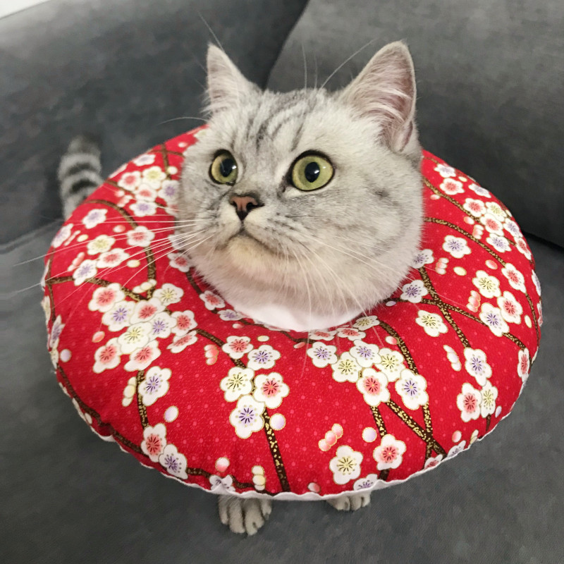 热销狗头套_伊丽莎白圈升级软圈宠物公母猫狗绝育防咬防舔防抓耻辱圈