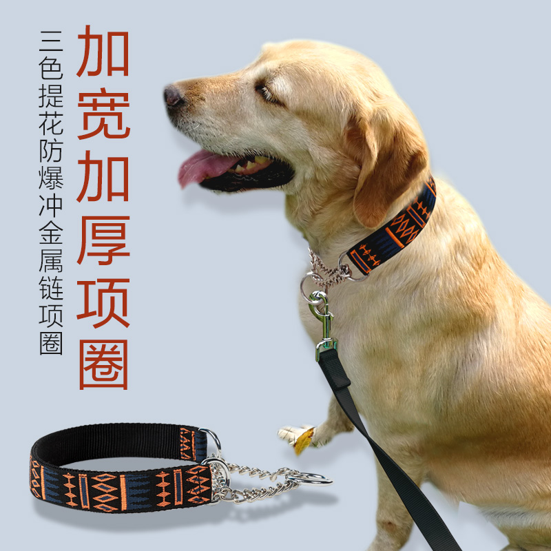 真皮不锈钢p链狗狗项圈中大型犬宠物牵引带狗绳脖套金毛拉布拉多