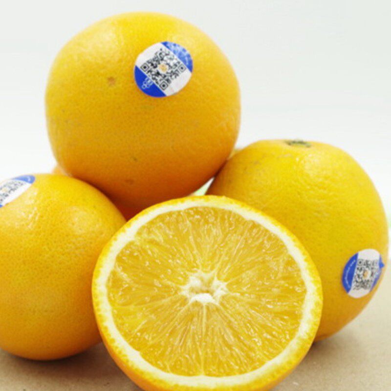 xl特级云南褚时建褚橙楮冰糖橙储橙励志橙子诸橙新鲜水果10斤包邮