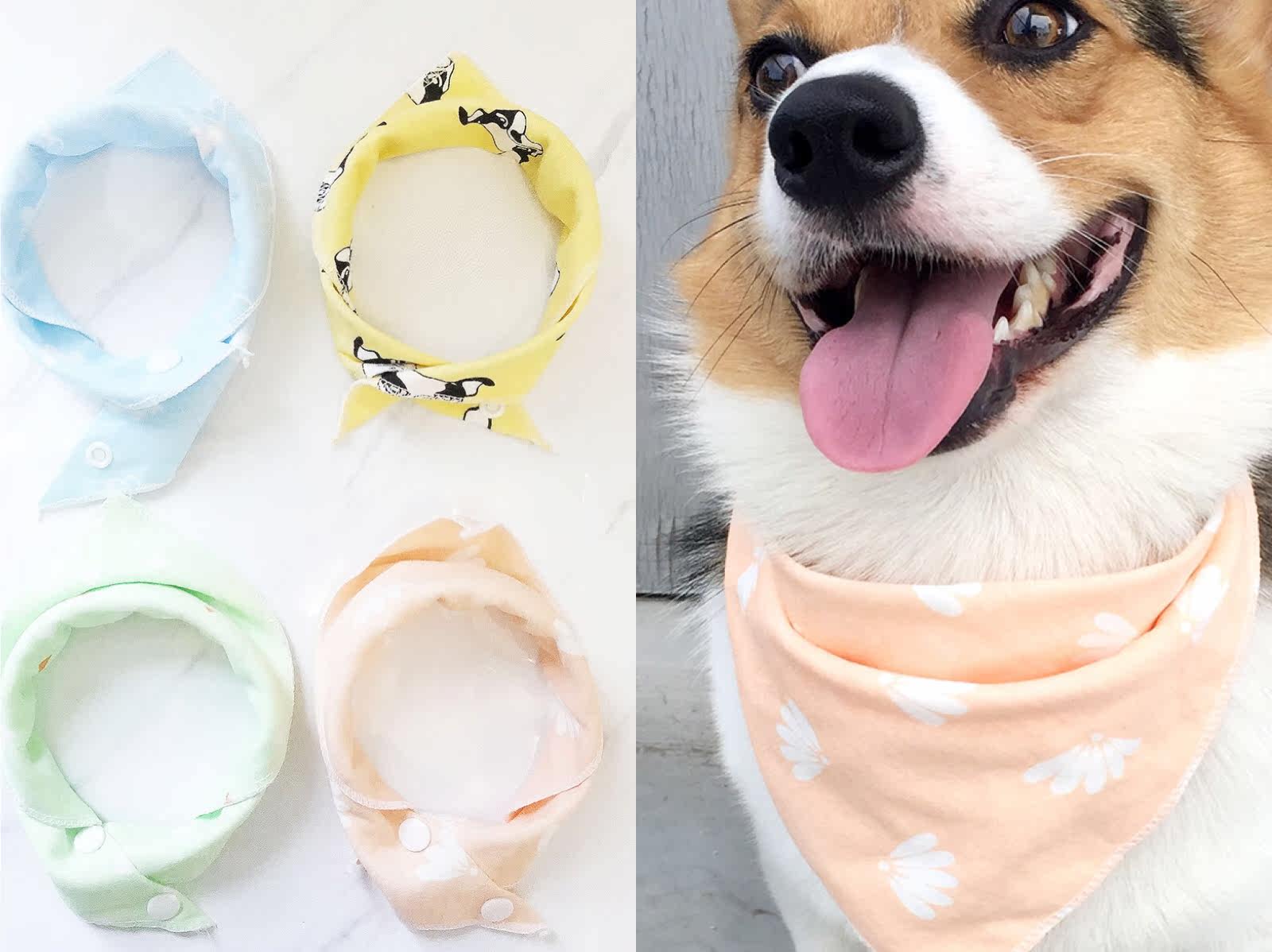 狗狗围嘴口水巾 泰迪