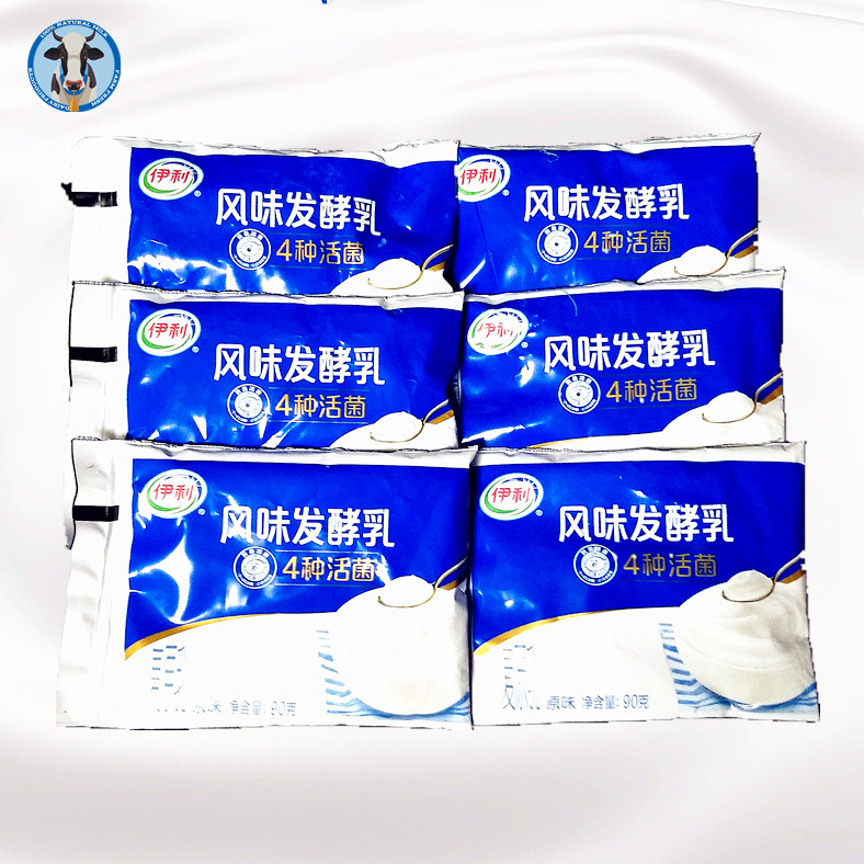 酸奶发酵菌 伊利 八连杯