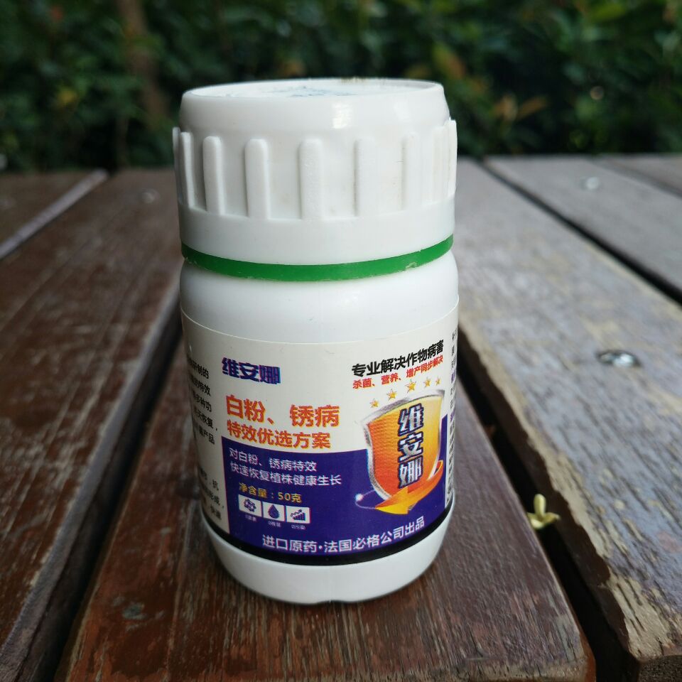 草莓黄瓜西瓜番茄辣椒蔬菜植物花卉月季白粉病锈病特效杀菌剂进口