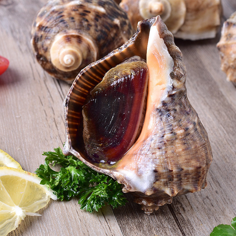 一折威海孙小乔海鲜