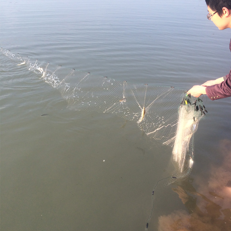 2米高小白条渔网6分7分8分鱼网粘网三层捕鱼网丝网挂网优惠券