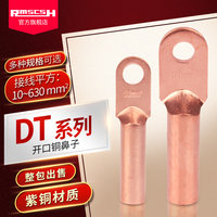 DT10/16/25/35/50/70/95/120/150/185/240/300/400/500/630 copper nose