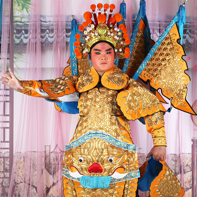 戏曲虎头男靠京剧戏剧高档男大靠武生武将军关公服装全金虎头男靠