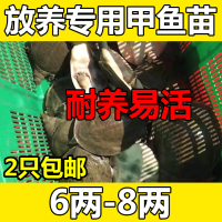 即使2828影院电影院果然剧情片2828电影网李方砚男生穿白丝袜 故事