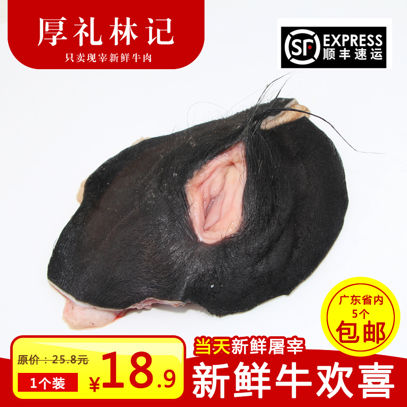 新鲜母牛生殖系统带外阴牛欢喜牛外阴牛逼母牛外阴牛欢喜牛阴蒂