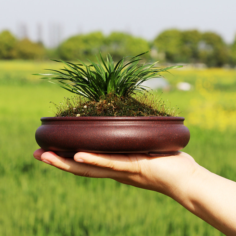 热销宜兴紫砂花盆_陶瓷绿植盆栽花盆宜兴紫砂花盆永生花多肉菖蒲盆景