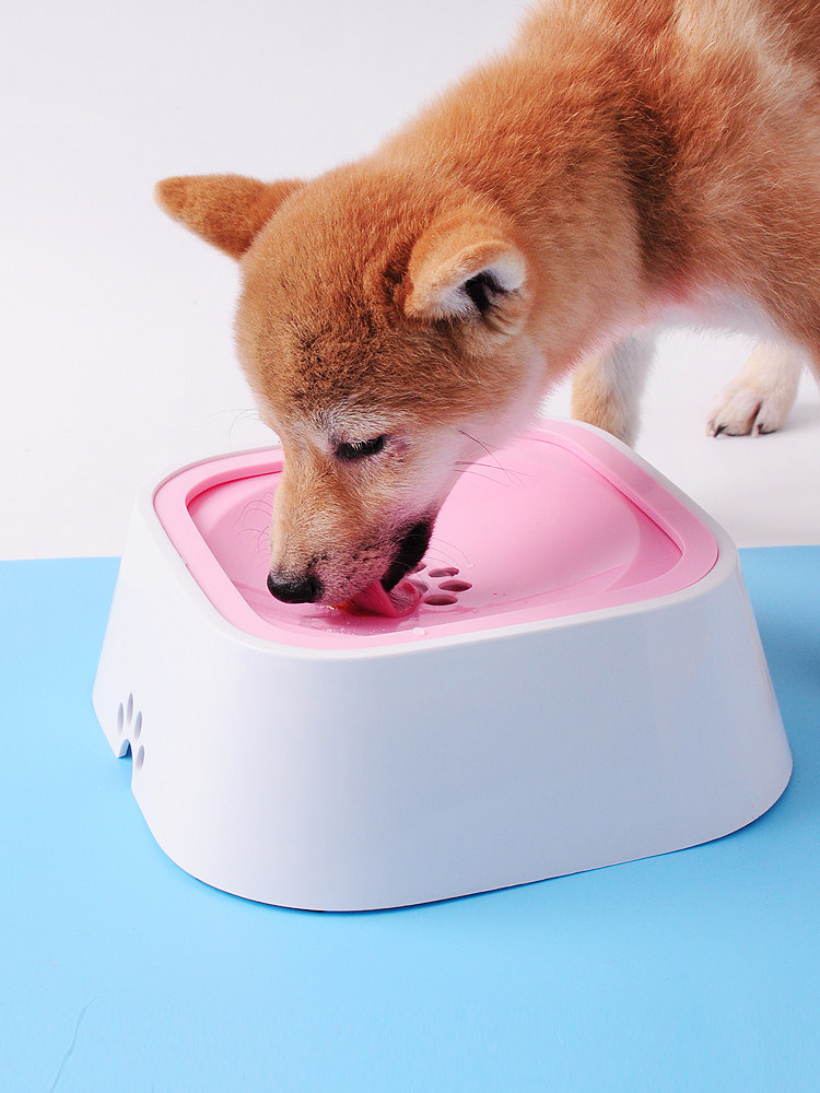 一折狗盆固定器