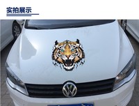 顷刻间在线青青视频免费观看6二星级4438青青青91在能下载冬月枫的电影萧淑慎演的肉蒲团