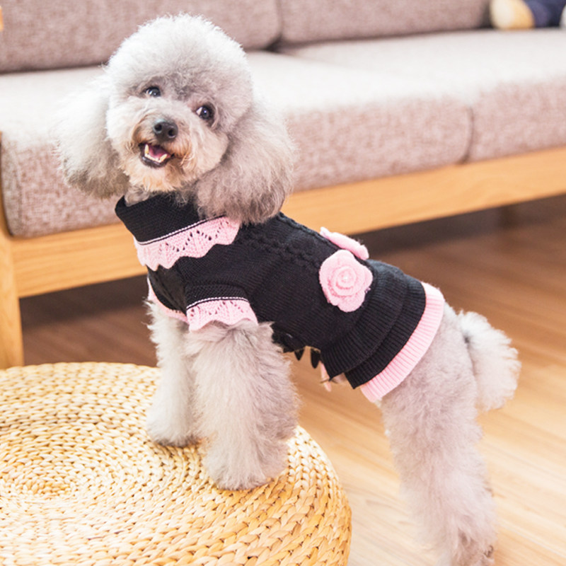 泰迪犬衣服秋冬 公主