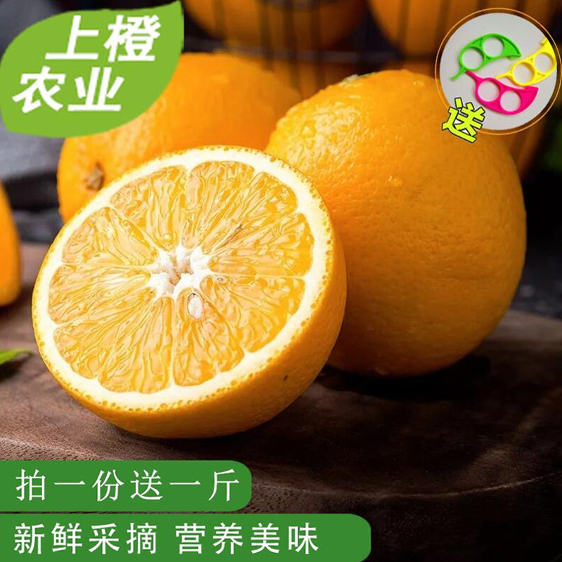 南非原装进口水果夏橙埃及新鲜饮品橙子榨汁脐