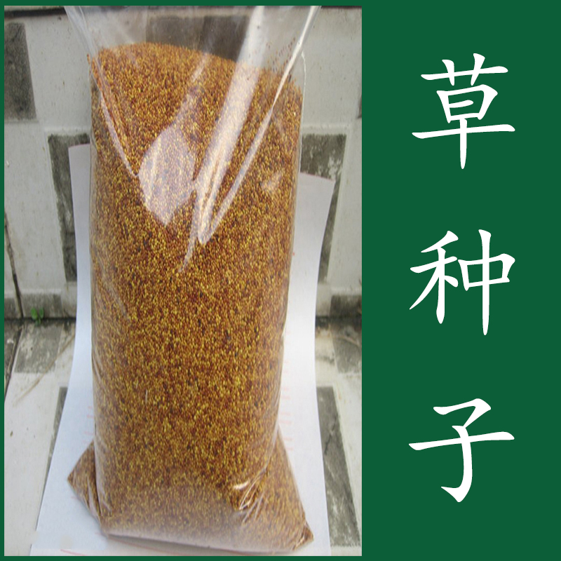 草坪种子 狗牙根_草种子四季青护坡草皮草籽免修剪进口狗牙根高羊茅