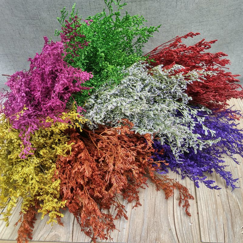 干花花束 永生花_多色天然情人草干花植物 云南干花真花永生花花束