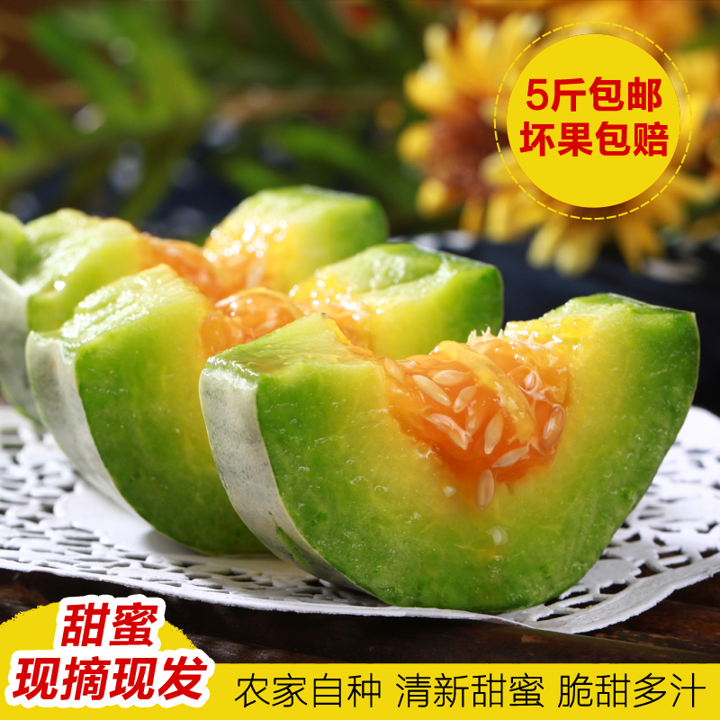 麒麟果 新鲜现货包邮顺丰5-9枚装 黄金燕窝果 