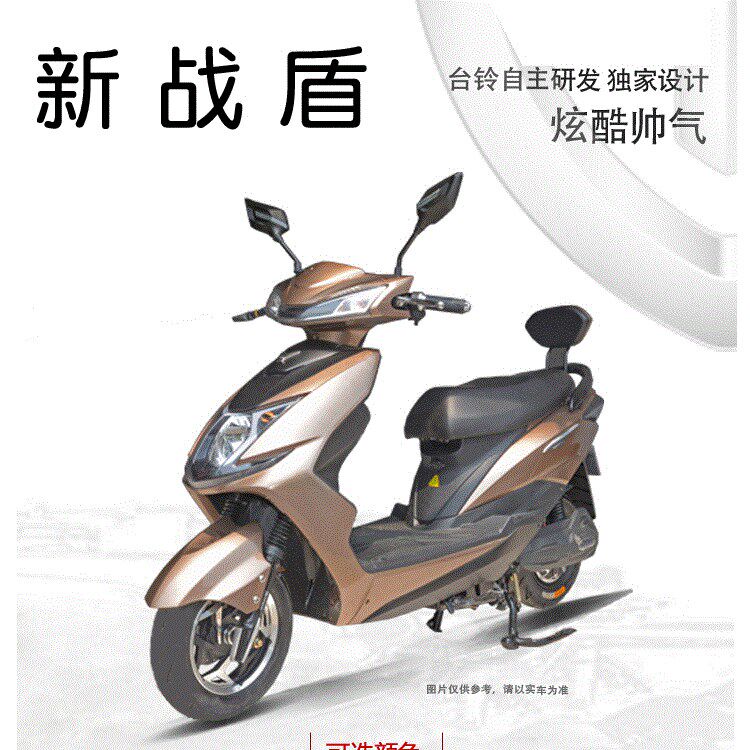 好品质台铃电动车防晒坐垫套新战豹 新战翼 新战翔 新战盾防晒座