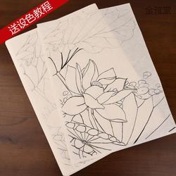 g4工笔画白描底稿临摹练习初学者入门中国画寿桃牡丹花勾线熟宣纸